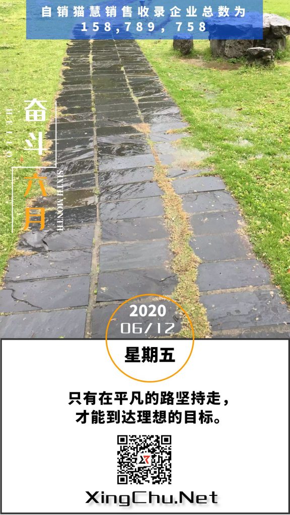 20200612自销猫慧销售日历图-兴楚企服
